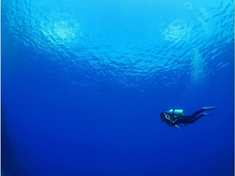 [오키나와 · 미야코지마] [지역 일반 쿠폰이용 가능한 플랜】 & 풀 렌털 장비와 함께! 미야코 블루 만끽할 3 보트 팬 다이빙の紹介画像