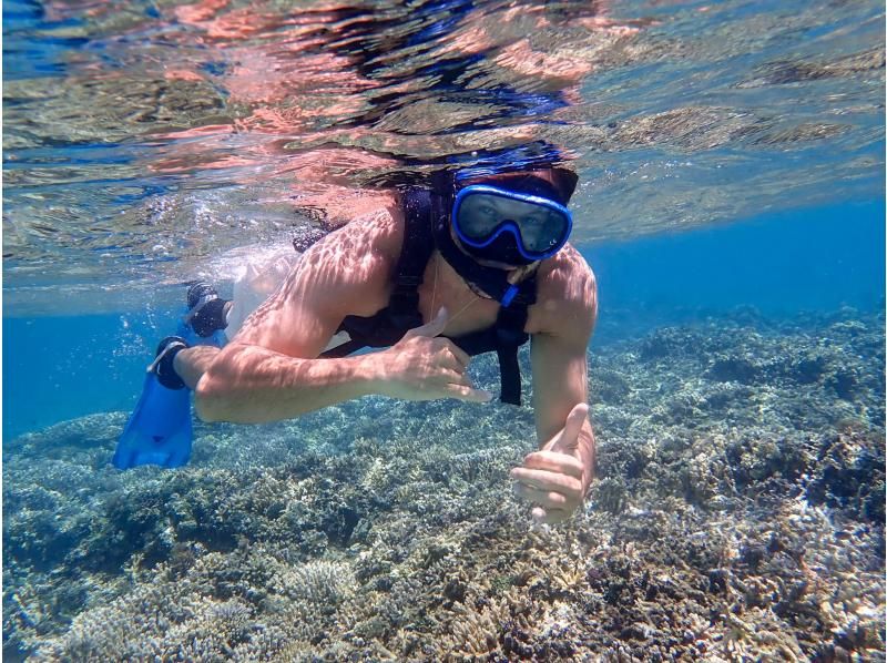 [Ishigaki Island/Half-day] Blue Cave Exploration & Snorkeling ★ You might even see some sea turtles ★ Free pick-up/drop-off/photo data/equipment rental! Same-day reservations welcome! [Student discount plan]の紹介画像