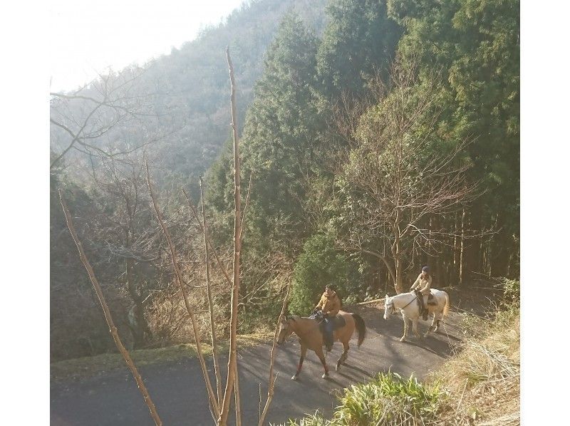 [Hyogo / Tamba Sasayama] Beginner forest bathing outside + 90 minutes walk to climb the mountain and feel the heightの紹介画像