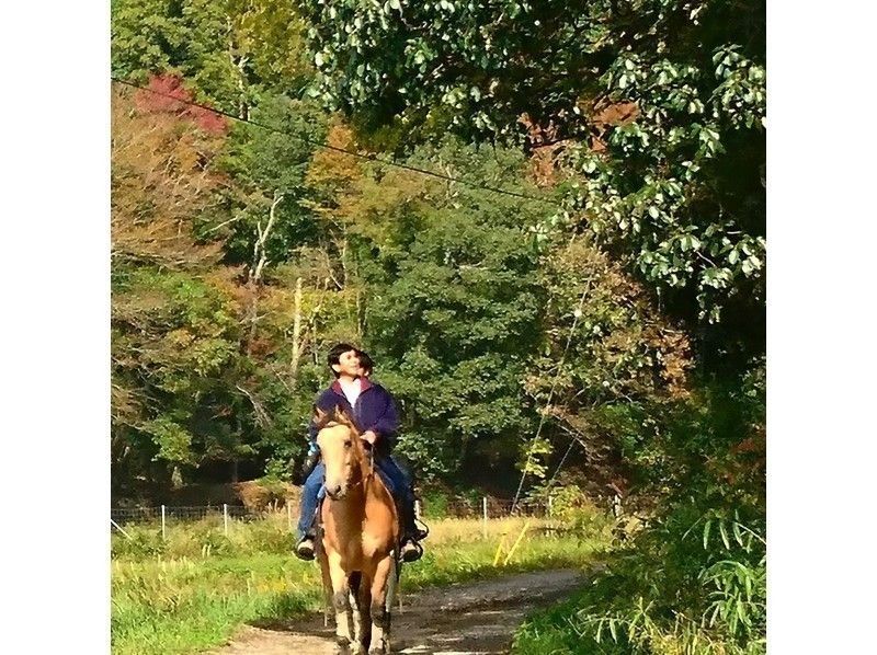 [Hyogo / Tamba Sasayama] Beginner forest bathing outside + 90 minutes walk to climb the mountain and feel the heightの紹介画像