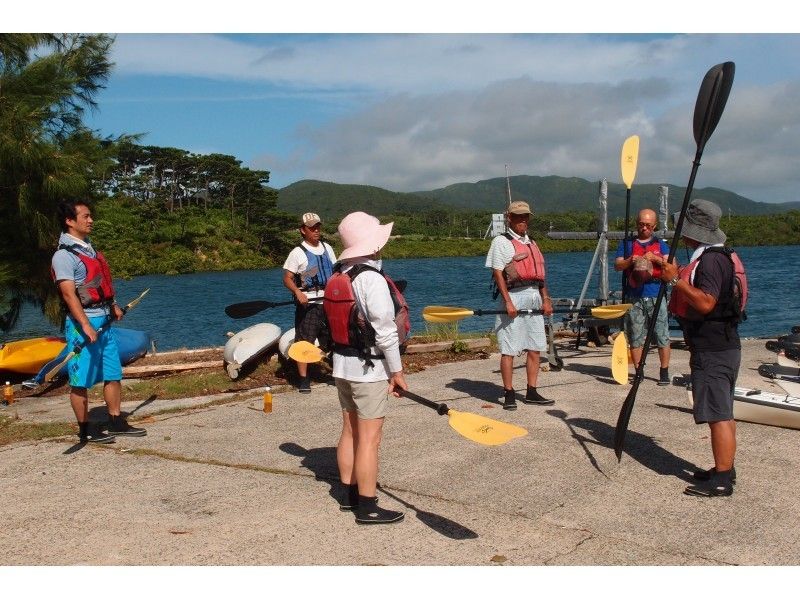 【 Okinawa · Iriomote Island】 One set per Sun limited plan! Sun this largest mangrove authentic go the virgin forest of the Kayak tourの紹介画像