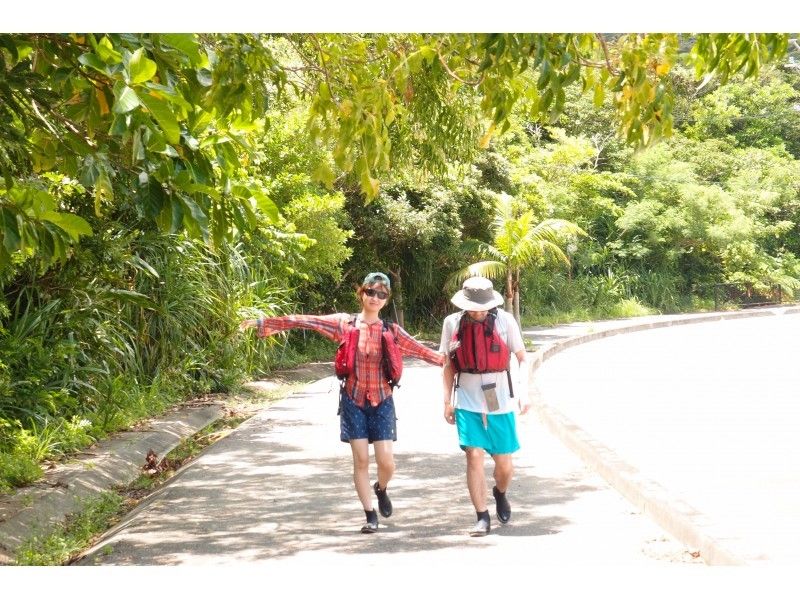 [沖繩西表島]易半日徒步遊步行遊覽亞熱帶叢林！の紹介画像