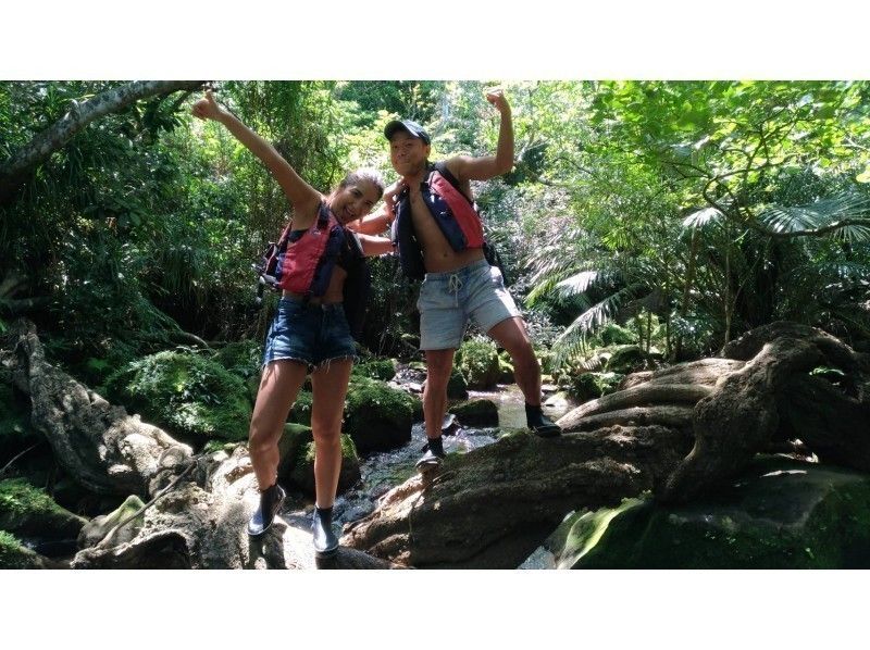 [Okinawa ・ Iriomote Island] Easy half-day Tour Trekking tour walking in the subtropical jungle!の紹介画像