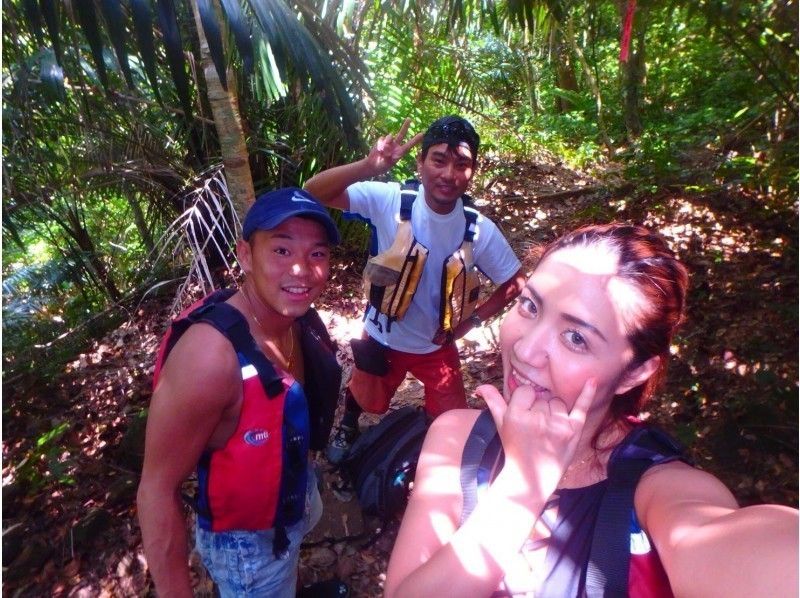 [ 오키나와 · 이리 오모테 섬] 간단 반 일 투어 아열대 정글을 걷는 트레킹 투어!の紹介画像