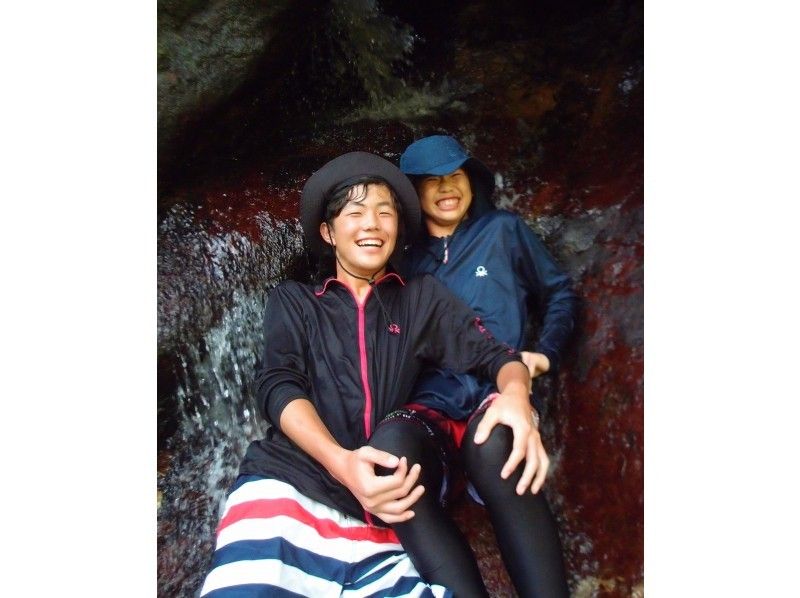 [沖繩西表島]易半日徒步遊步行遊覽亞熱帶叢林！の紹介画像