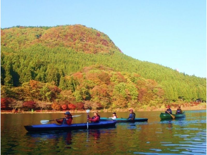 [Karuizawa Kanto Gunma ・ Shinshu Nagano 】 Fresh green Kayak Experience ☆ Spring & Early Summer Seasonal Limited ☆ Play outside in Karuizawaの紹介画像