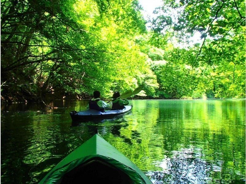 [Karuizawa Kanto Gunma ・ Shinshu Nagano 】 Fresh green Kayak Experience ☆ Spring & Early Summer Seasonal Limited ☆ Play outside in Karuizawaの紹介画像