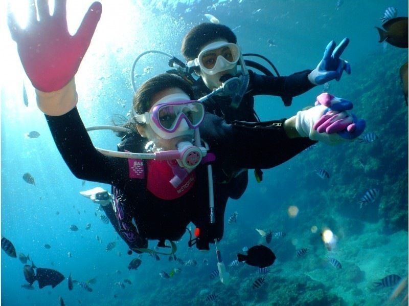 毎日先着3組‼️3980円にてご案内中【GoPro写真・動画すぐ携帯へ・餌あげ無料❤️青の洞窟ダイビング】初めての方・直前予約OK!!の紹介画像