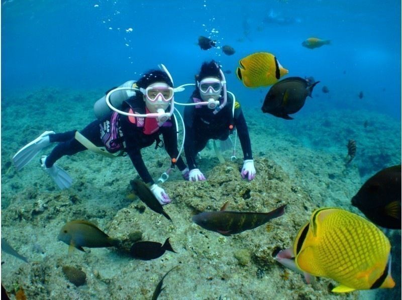 強力ドライヤー・無料アメニティーも充実‼毎日先着3組‼️3980円【GoPro写真・動画・餌あげ無料❤️青の洞窟ダイビング】直前予約OK!!の紹介画像