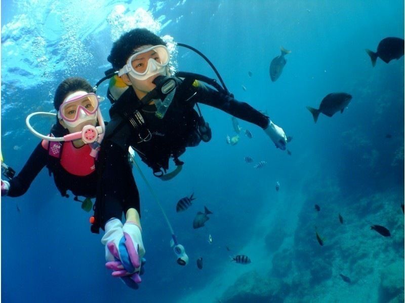 速乾ドライヤー・無料アメニティーも充実‼毎日先着3組‼️3980円【GoPro写真・動画・餌あげ無料❤️青の洞窟ダイビング】直前予約OK!!の紹介画像