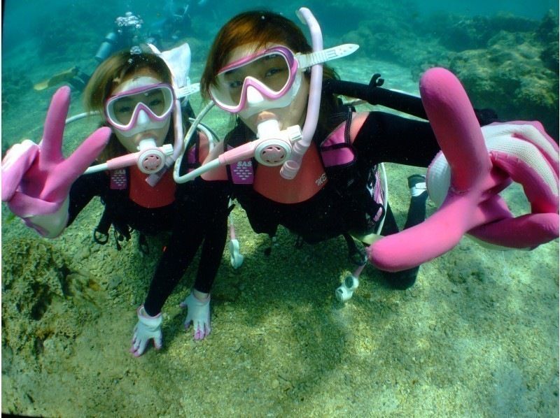 強力ドライヤー・無料アメニティーも充実‼毎日先着3組‼️3980円【GoPro写真・動画・餌あげ無料❤️青の洞窟ダイビング】直前予約OK!!の紹介画像