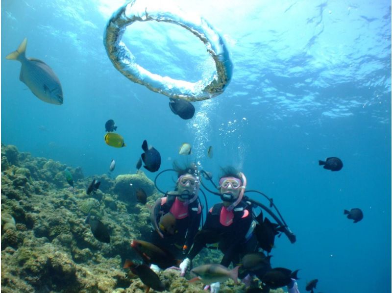 速乾ドライヤー・無料アメニティーも充実‼毎日先着3組‼️3980円【GoPro写真・動画・餌あげ無料❤️青の洞窟ダイビング】直前予約OK!!の紹介画像