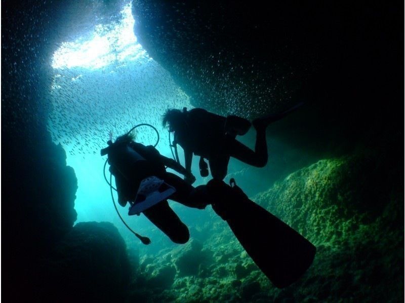 強力ドライヤー・無料アメニティーも充実‼毎日先着3組‼️3980円【GoPro写真・動画・餌あげ無料❤️青の洞窟ダイビング】直前予約OK!!の紹介画像