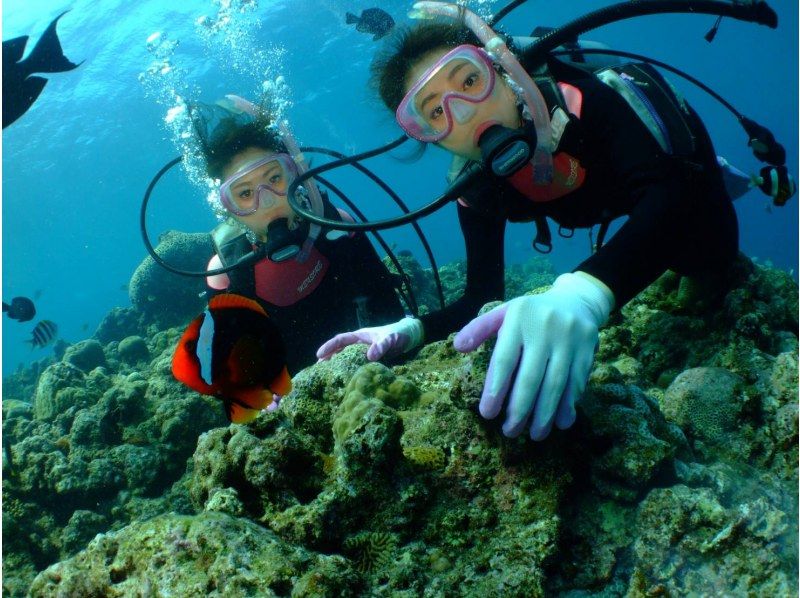 毎日先着3組‼️3980円にてご案内中【GoPro写真・動画すぐ携帯へ・餌あげ無料❤️青の洞窟ダイビング】初めての方・直前予約OK!!の紹介画像