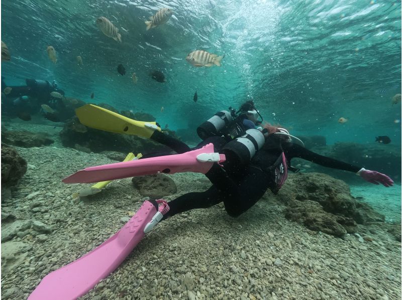 速乾ドライヤー・無料アメニティーも充実‼毎日先着3組‼️3980円【GoPro写真・動画・餌あげ無料❤️青の洞窟ダイビング】直前予約OK!!の紹介画像