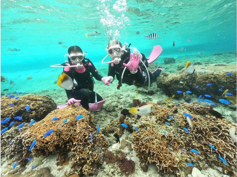 毎日先着3組‼️3980円にてご案内中【GoPro写真・動画すぐ携帯へ・餌あげ無料❤️青の洞窟ダイビング】初めての方・直前予約OK!!の紹介画像