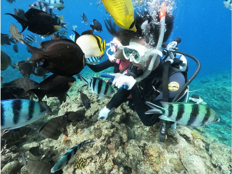 強力ドライヤー・無料アメニティーも充実‼毎日先着3組‼️3980円【GoPro写真・動画・餌あげ無料❤️青の洞窟ダイビング】直前予約OK!!の紹介画像