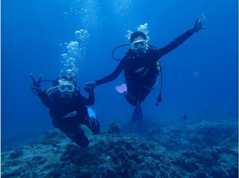 クエフ島　ダイビング