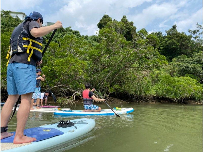 Double the fun! Mangrove SUP tour (Ages 6 and up) Free photo data, free smartphone case rental, hot showers available)の紹介画像