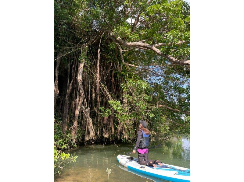 더블로 재미! 맹그로브 SUP 투어《6세~참가◎촬영 데이터 무료&middot;스마트폰 케이스 무료 대출&middot;온수 샤워 있음》の紹介画像