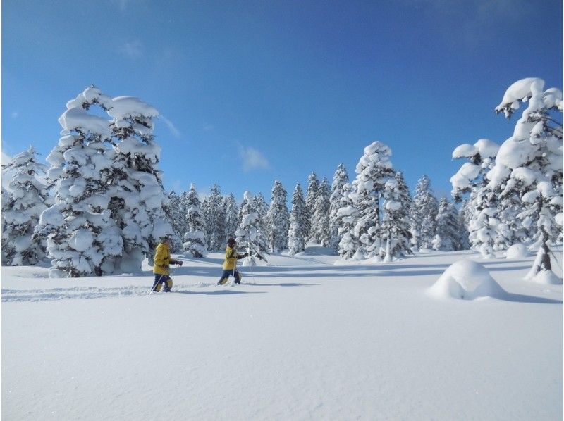 [北海道·大雪贊]精湛的觀點雪上徒步★Asahidake·Tenjinkyo 1天委託課程の紹介画像