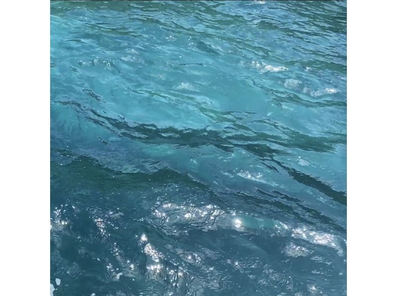 [Hokkaido, Otaru] Blue Cave | Famous Captain's Adventure Let's Go Cruise!の紹介画像