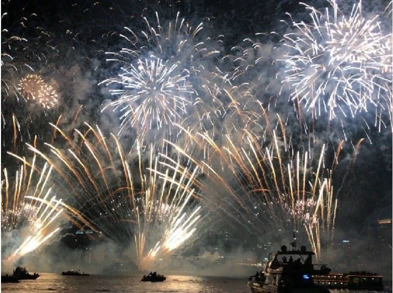 【築地乗船】東京花火大祭・花火観覧クルーズ【12517】の紹介画像