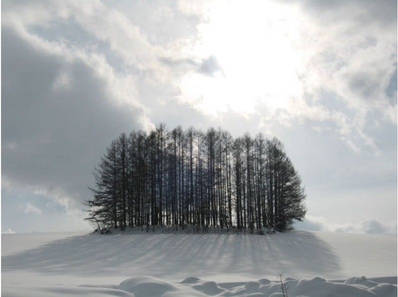 [Hokkaido ・ Beautifulness】 Superb view Snowshoes ★ Visit the hills of Biei · Shirokane no Moriの紹介画像