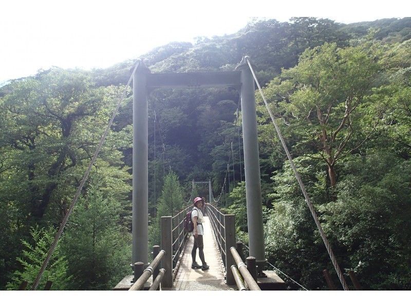 What is trekking?hikingや登山との違いとWithin Japanおすすめ体験ツアーを徹底紹介！