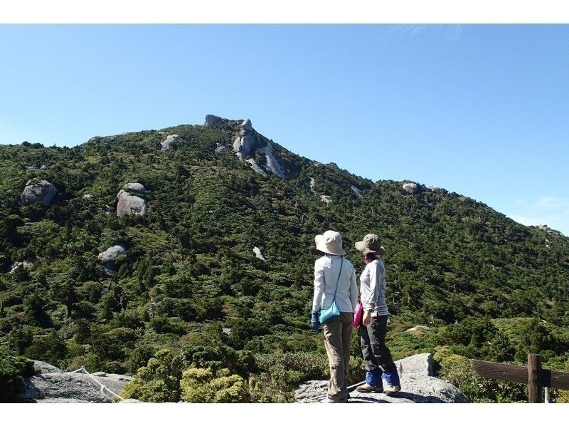 グループ予約でお得！白谷雲水峡～太鼓岩日帰りツアー【無料レンタル付で身軽に屋久島】の紹介画像