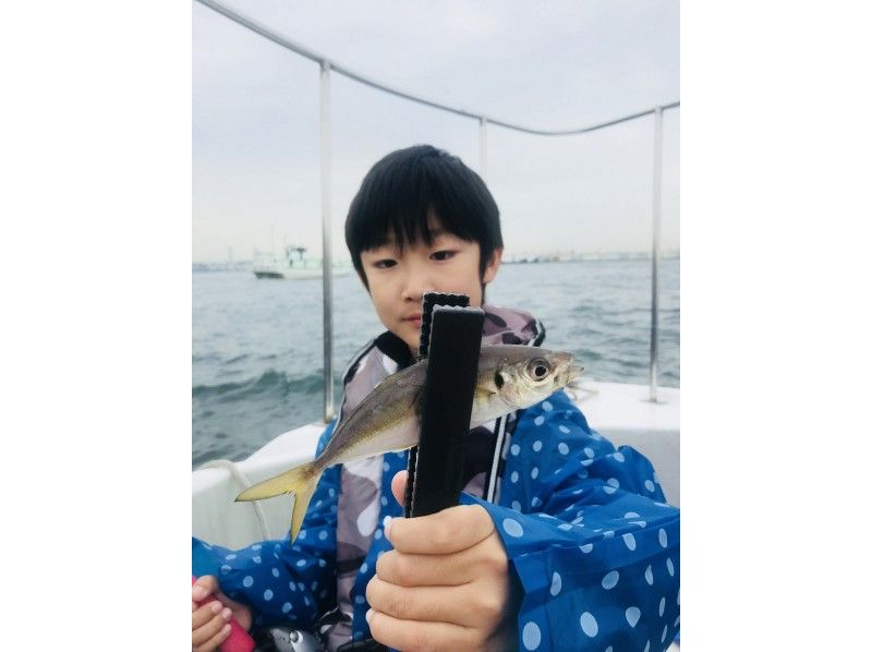 [Tokyo/Haneda] 120 minutes Horse mackerel charter boat ★ Up to 7 people OK ♪ We can introduce restaurants where you can eat the fish you catch!の紹介画像