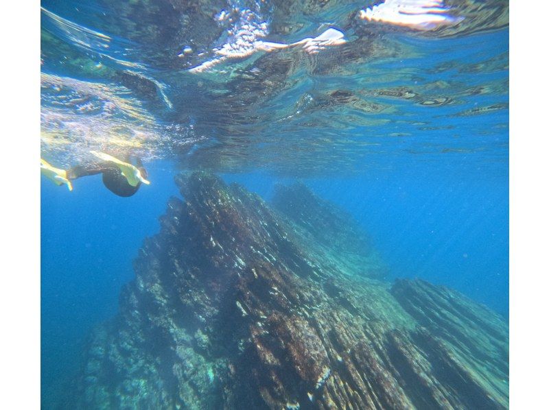 【湯河原・真鶴・小田原】気軽に参加できるでスノーケリングプラン【半日コース】の紹介画像