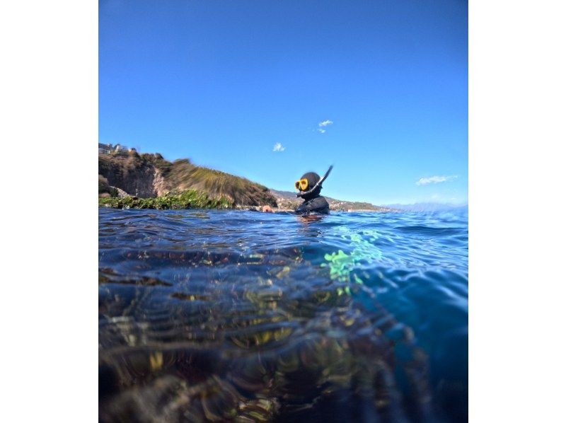 【湯河原・真鶴・小田原】気軽に参加できるでスノーケリングプラン【半日コース】の紹介画像