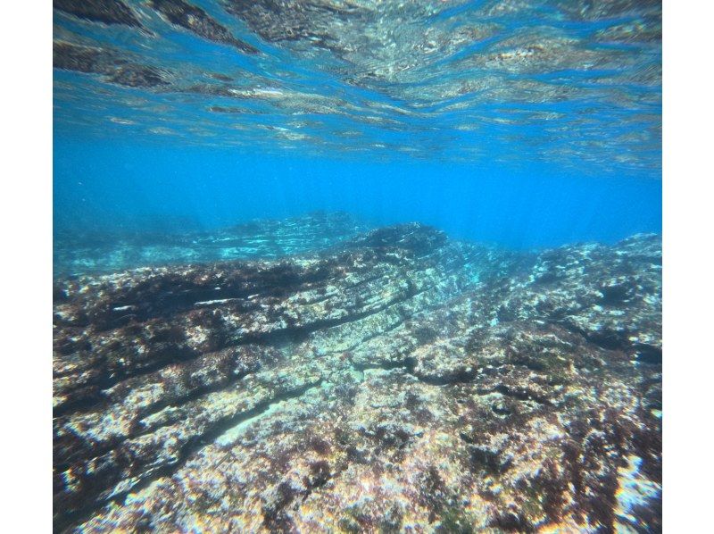 【湯河原・真鶴・小田原】気軽に参加できるでスノーケリングプラン【半日コース】の紹介画像