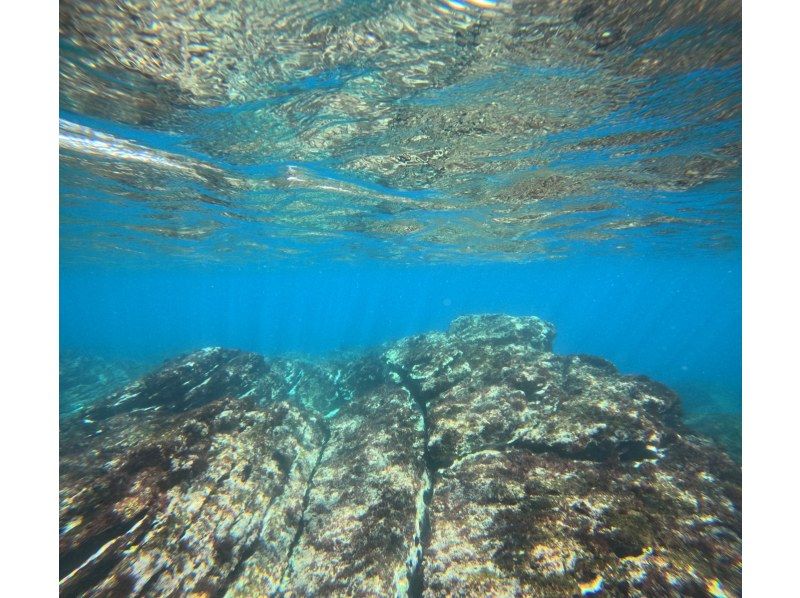 【湯河原・真鶴・小田原】気軽に参加できるでスノーケリングプラン【半日コース】の紹介画像