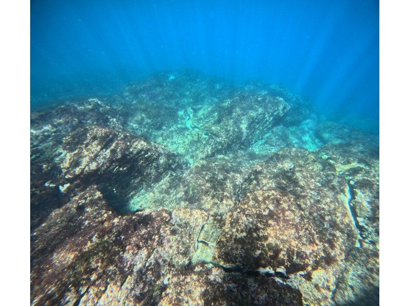 【湯河原・真鶴・小田原】気軽に参加できるでスノーケリングプラン【半日コース】の紹介画像