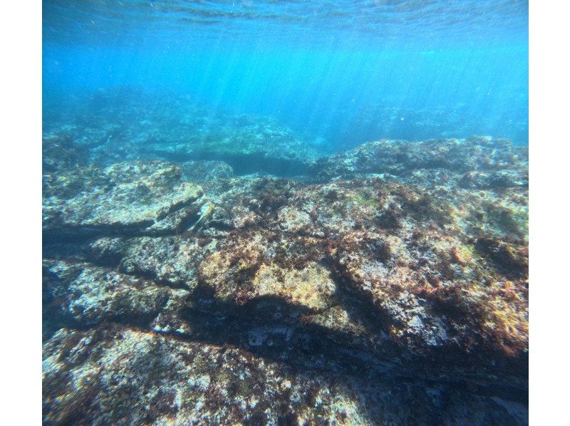 【湯河原・真鶴・小田原】気軽に参加できるでスノーケリングプラン【半日コース】の紹介画像