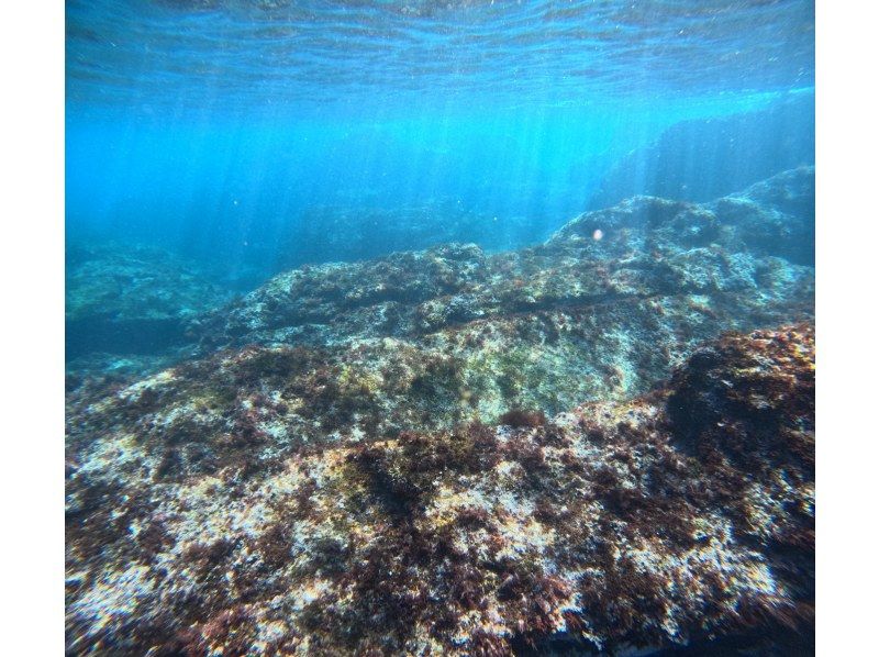 【湯河原・真鶴・小田原】気軽に参加できるでスノーケリングプラン【半日コース】の紹介画像