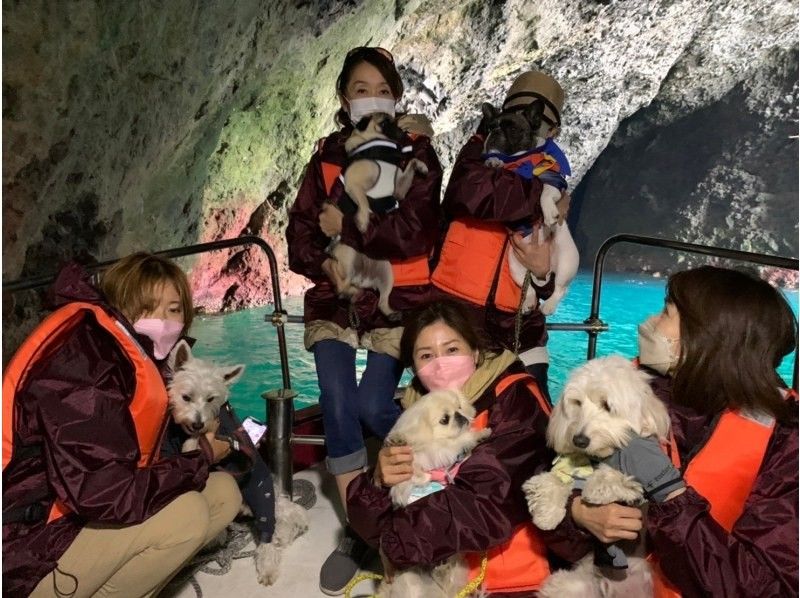 【北海道・小樽市】祝津マリーナ発！海底を見ながら周遊できる！小樽唯一のグラスボートで行く、60分の秘境クルーズ探検ツアーの紹介画像