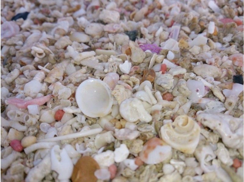 【沖縄北部・オクマ】貝殻・サンゴ・ガラス片「海の宝物」で作るフォトフレームの紹介画像