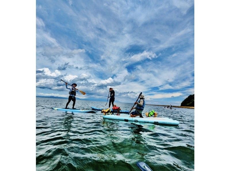 【熊本県・天草市】天草の綺麗な海を満喫！SUP orカヤックでの散策プラン♪満足の50分！SUP or カヤックでの天草の海クルーズコースの紹介画像