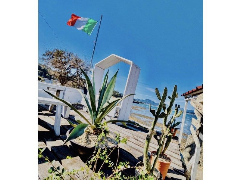 【熊本県・天草市】天草の綺麗な海を満喫！たっぷり90分のロングプレイクルーズプラン！の紹介画像