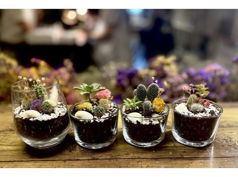 【大阪・心斎橋】子供から大人まで楽しめるミニサボテン・多肉植物の寄せ植え体験！の紹介画像