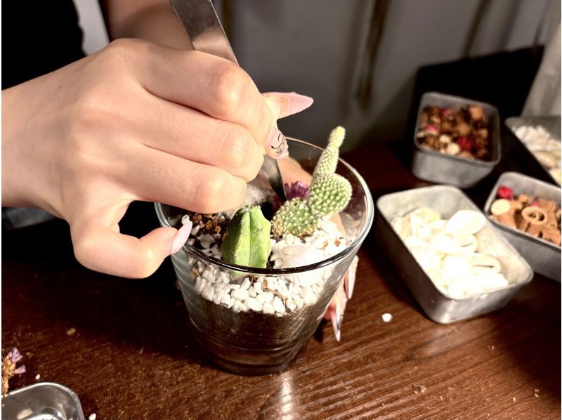 【大阪・心斎橋駅徒歩3分】子供から大人まで楽しめるミニサボテンのインテリア作り！サボテングラス作り体験☆の紹介画像