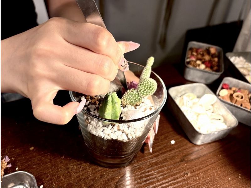 【大阪・心斎橋】子供から大人まで楽しめるミニサボテン・多肉植物の寄せ植え体験！の紹介画像