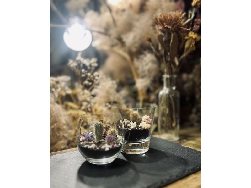 【大阪・心斎橋】子供から大人まで楽しめるミニサボテン・多肉植物の寄せ植え体験！の紹介画像