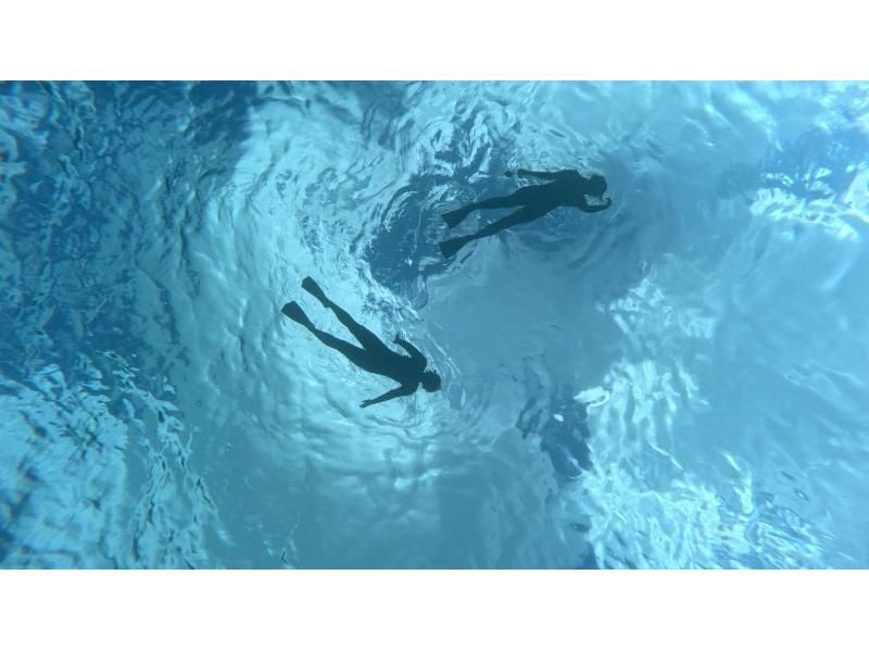 【 冲绳 •总部镇】 浮潜套餐课程の紹介画像