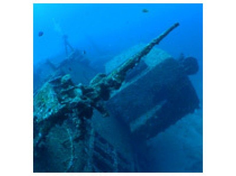 [科裡島 - 埃蒙斯沉船船粉絲潛水[2潛水]の紹介画像