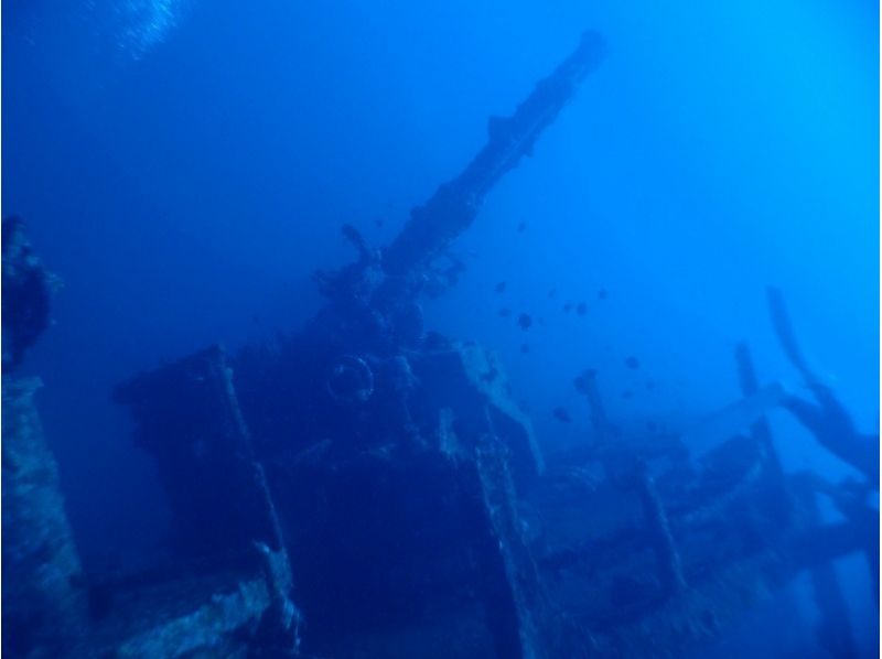 [Kouri Island-Emmons wreck boat fan diving [2 dive]の紹介画像