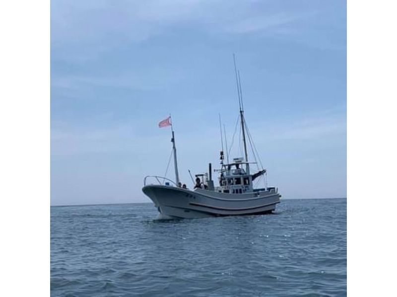 【千葉・勝浦】太平洋を満喫しよう！　勝浦湾・太平洋漁船クルージング！！